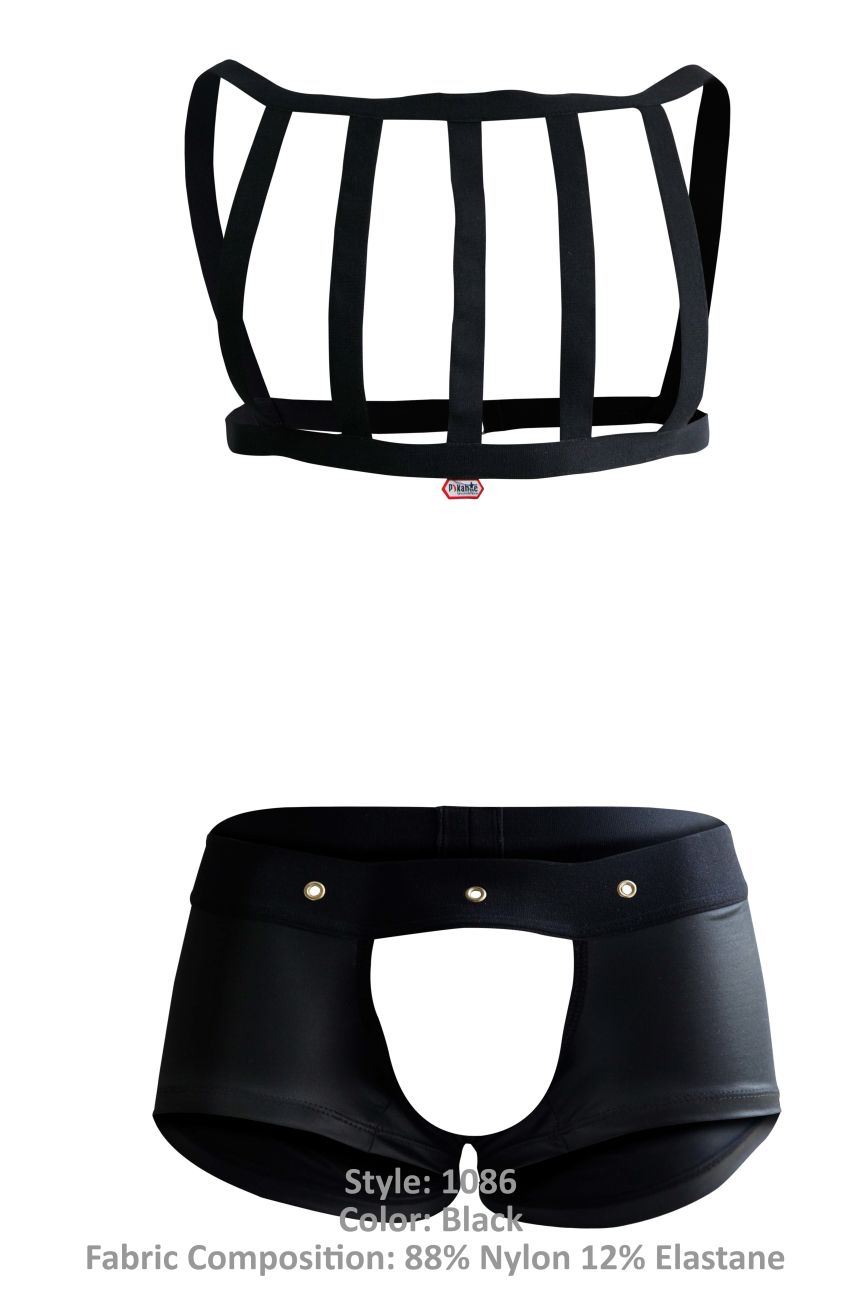 Pikante Mens Underwear Jockstrap and Thongs for Men. Lingerie for Men - Picture 30 of 134
